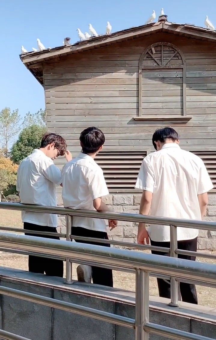 Nhà Có Ba Món Họa