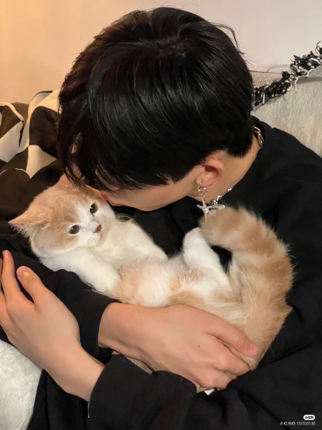 Mèo Con Trong Giấc Mơ