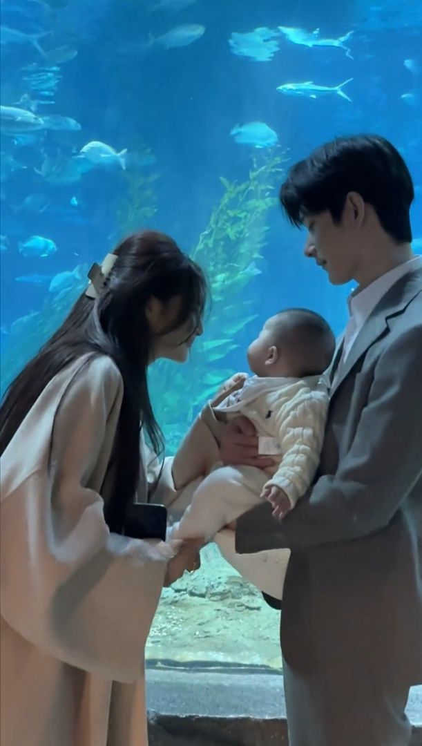 Sau Ly Hôn, Trở Về Quê Làm Giàu Và Tìm Lại Hạnh Phúc